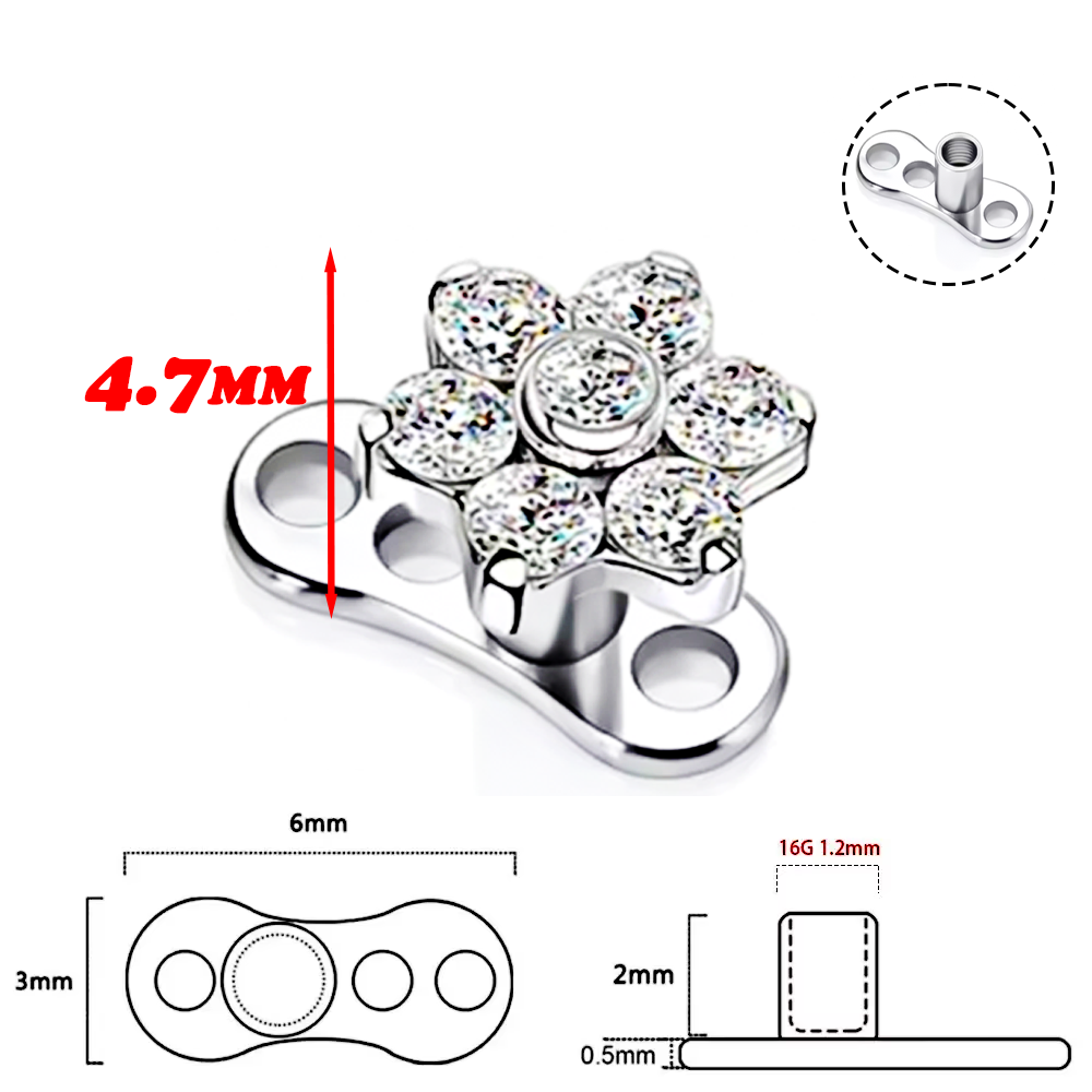 F136 티타늄 합금 고품질 임플란트 등급 지르코니아  - Body Jewelry Quality 리뷰 및 가격