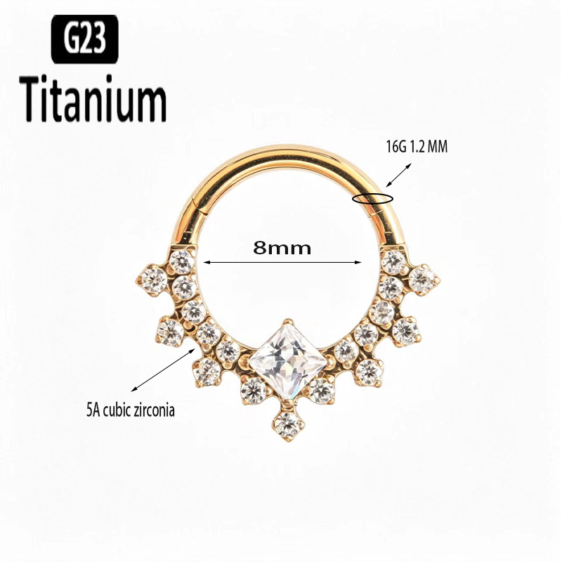G23 티타늄 고품질 플레인 CZ 셉텀 후프 피어싱 클 - Body Jewelry Quality 리뷰 및 가격